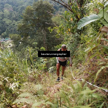 Runner Photo 5313819