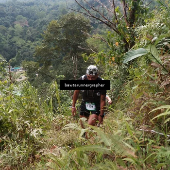 Runner Photo 5313861