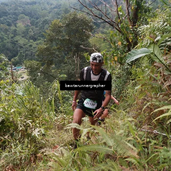 Runner Photo 5313887