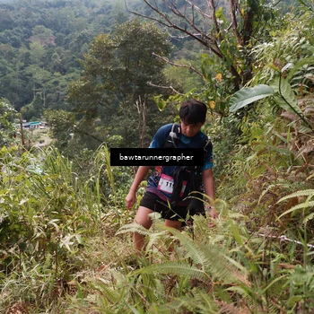 Runner Photo 5313919
