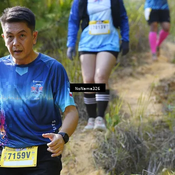 Runner Photo 5313945