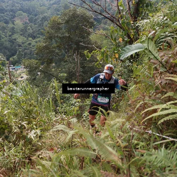Runner Photo 5313949