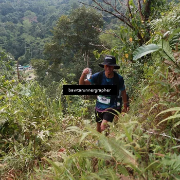 Runner Photo 5313955