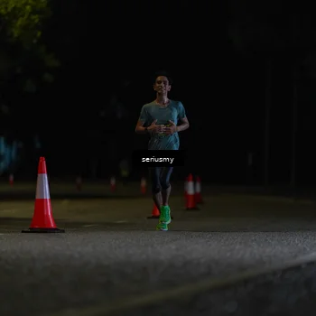 Runner Photo 5313961