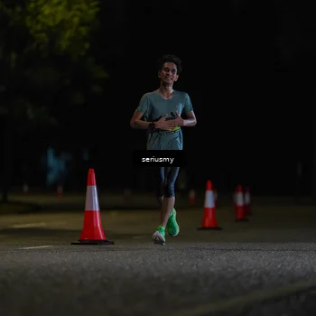 Runner Photo 5313971