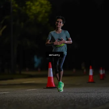 Runner Photo 5313976