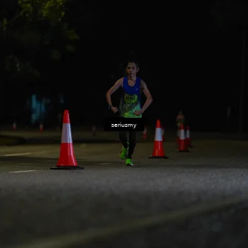 Runner Photo 5313997