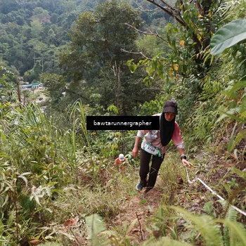 Runner Photo 5314153