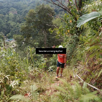 Runner Photo 5314180