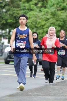 Runner Photo 53142