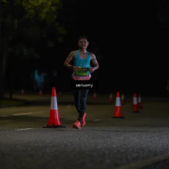 Runner Photo 5314247