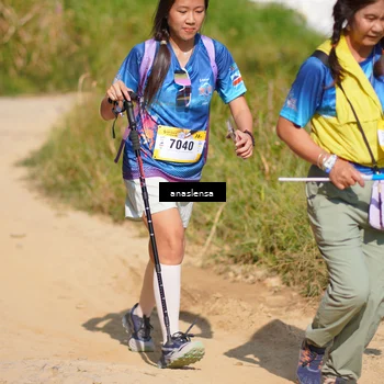 Runner Photo 5314249