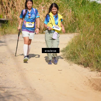 Runner Photo 5314265