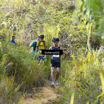 Runner Photo 5314272