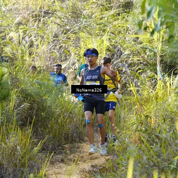 Runner Photo 5314284