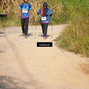 Runner Photo 5314297