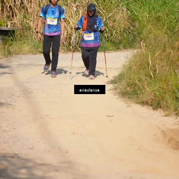 Runner Photo 5314325