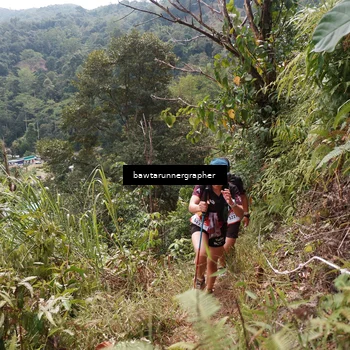 Runner Photo 5314334