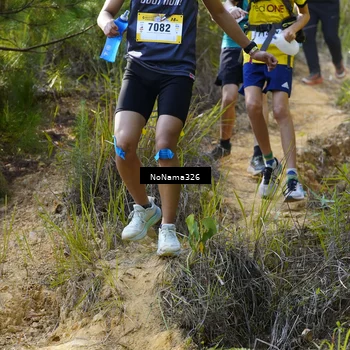 Runner Photo 5314335