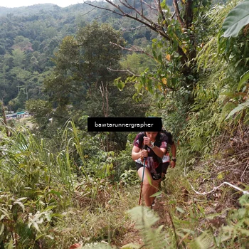 Runner Photo 5314350