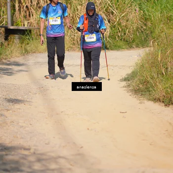 Runner Photo 5314419