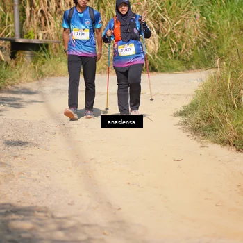 Runner Photo 5314476