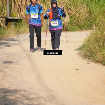 Runner Photo 5314491