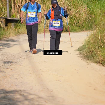 Runner Photo 5314498