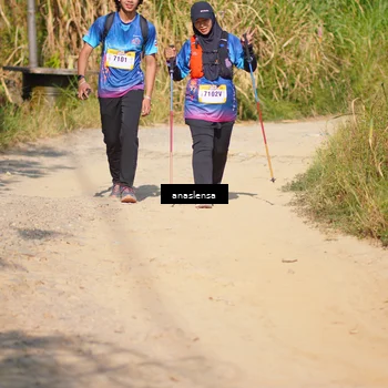 Runner Photo 5314587