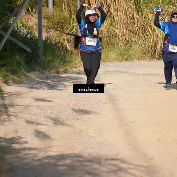 Runner Photo 5314755
