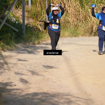 Runner Photo 5314756