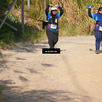 Runner Photo 5314766