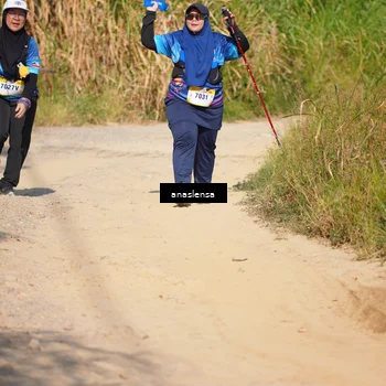 Runner Photo 5314818