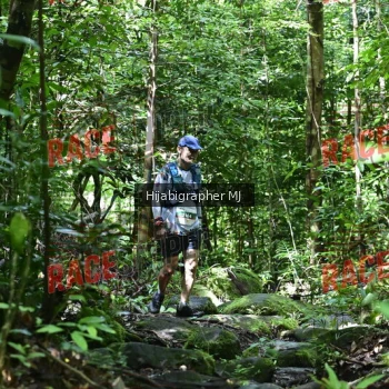 Runner Photo 531482
