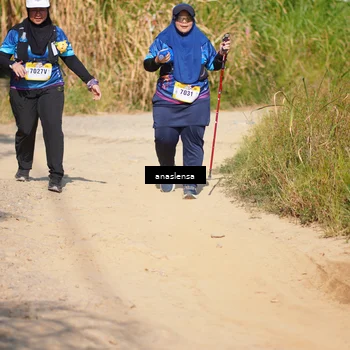 Runner Photo 5314827