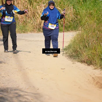 Runner Photo 5314830