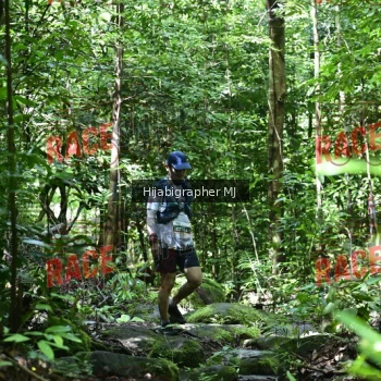 Runner Photo 531485