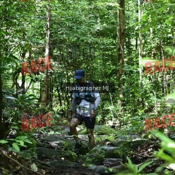 Runner Photo 531487