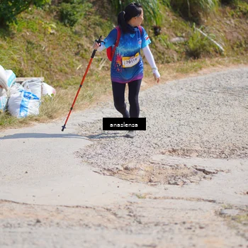 Runner Photo 5315223