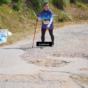 Runner Photo 5315242