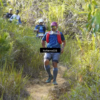 Runner Photo 5315564