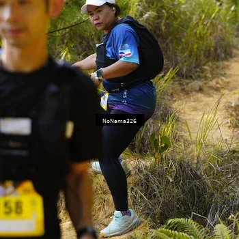 Runner Photo 5315699
