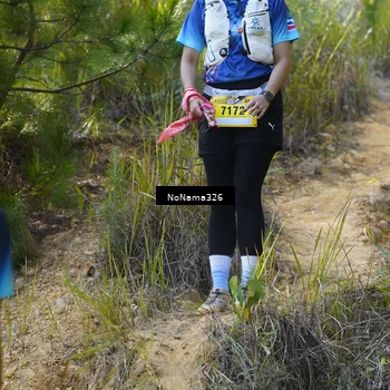 Runner Photo 5315840