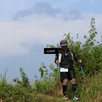 Runner Photo 5315895