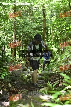 Runner Photo 531603