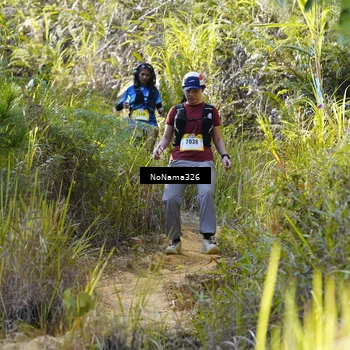 Runner Photo 5316049