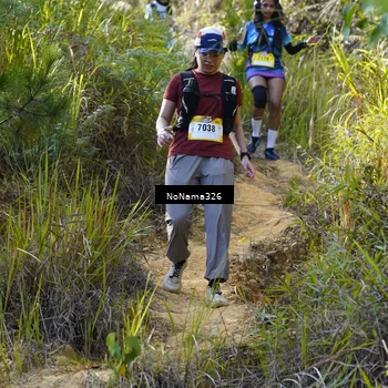 Runner Photo 5316065