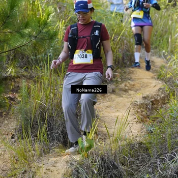 Runner Photo 5316076