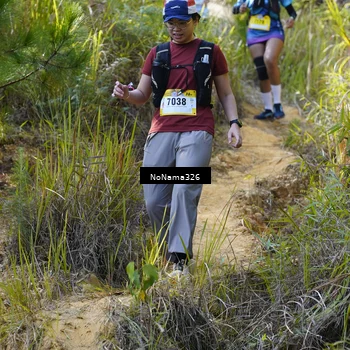 Runner Photo 5316078
