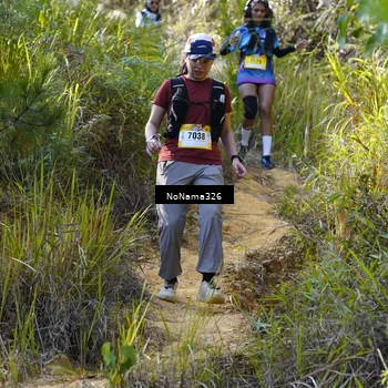 Runner Photo 5316082